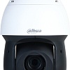 IP-камера Dahua DH-SD49216DB-HNY