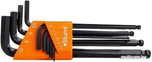 Набор ключей Sturm 1045-04-10Bx10 10 предметов