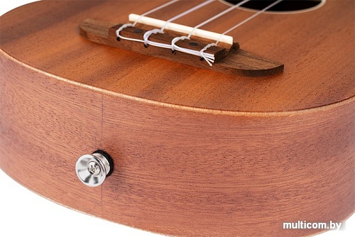 Укулеле Ortega Timber RFU10S