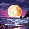 Картина по номерам Школа талантов Луна на закате 7990292