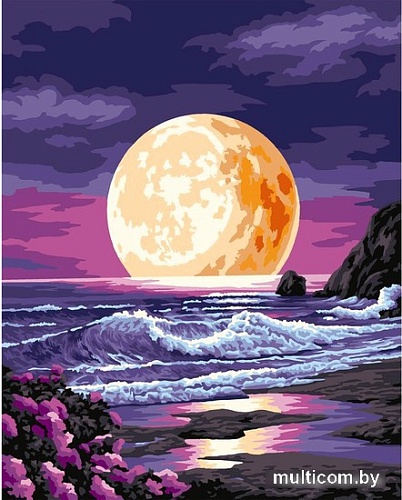 Картина по номерам Школа талантов Луна на закате 7990292