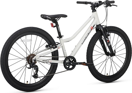 Велосипед Maxiscoo 3bike 24 L 2025 MSC-M3-2403 (серый)