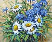 Картина по номерам Остров Сокровищ Ромашки 662913