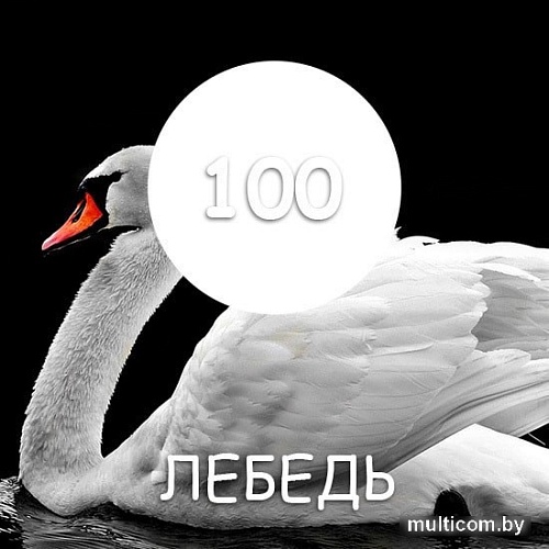 Краска Super Decor Maxima 2.5 кг (№100 белый лебедь)