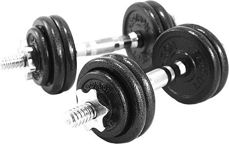 Набор гантелей Proiron Г2075Ч (2 шт)