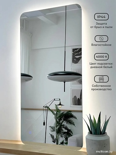 Зеркало с подсветкой eMZe Smartphone 50x100 LED.SMART.50.100.4K (с подсветкой)