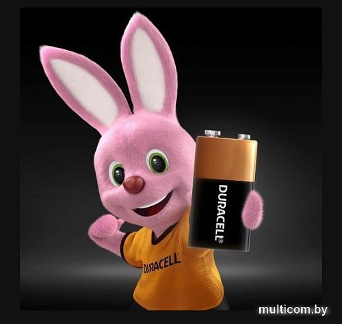 Батарейка DURACELL Basic 6LR61 1 шт