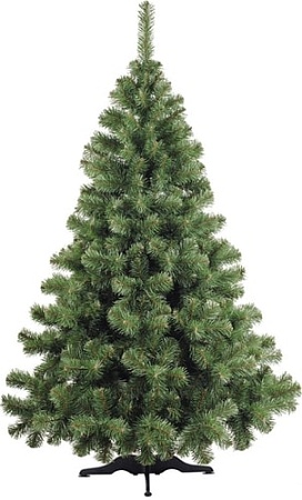 Ель Бифорес Арктика 1.8 м