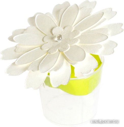 Набор для опытов Bondibon Японские опыты. Науки с Буки. Магические цветы ВВ5324