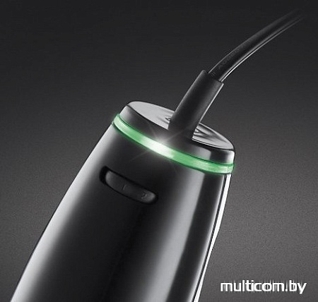Погружной блендер Russell Hobbs Illumina 20210-56