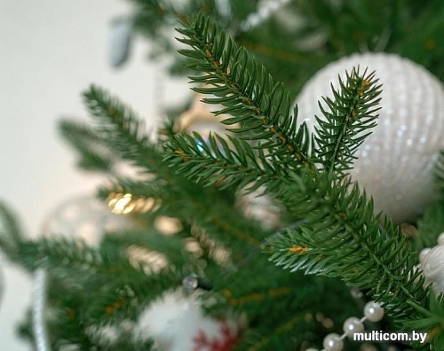 Ель Царь Елка Адель 1.5 м