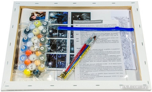 Картина по номерам Белоснежка В тепле 527-AS