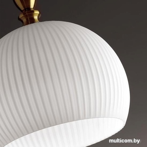 Подвесная люстра Odeon Light Runga 4766/1