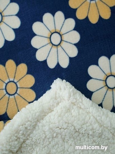 Плед Marianna Милан Мех G-20 240x210