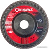 Шлифовальный круг Okinawa 125-80P-PS