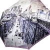 Зонт Fabretti S-20217-13