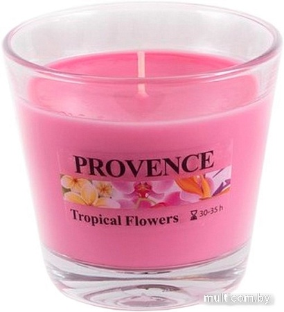Ароматизированая свеча Provence 565065 (тропический цветок)