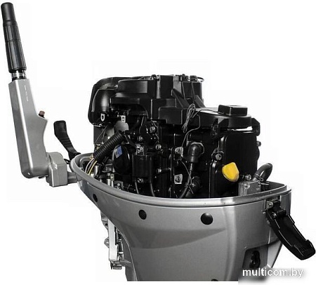 Лодочный мотор Seanovo SN EF 15 HES Enduro