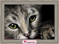 Алмазная мозаика Алмазная Живопись Кошачий портрет АЖ-1184