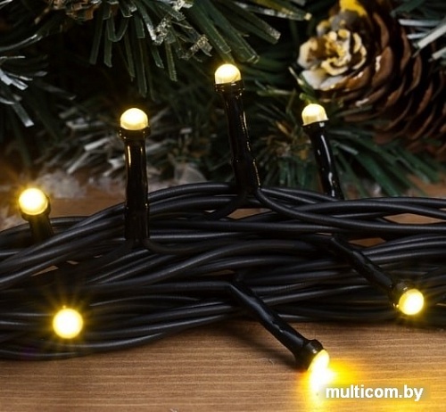 Гирлянда Luazon Нить уличная (теплый белый) 3584091