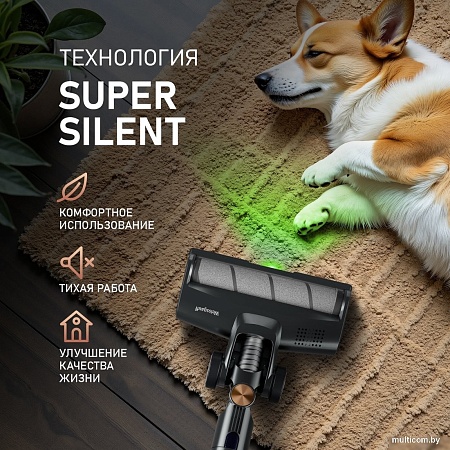 Пылесос Weissgauff V12 BLDC 630 Marine X-Treme Turbo