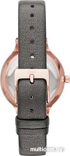 Наручные часы Skagen SKW2267