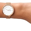 Наручные часы Skagen Gitte SKW3013