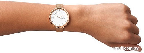 Наручные часы Skagen Gitte SKW3013