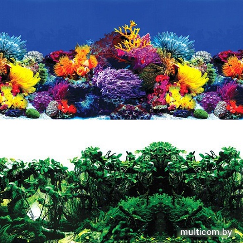 Фон Laguna Обитатели рифа/Джунгли 8001/8002 74064091