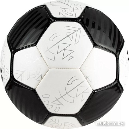 Футбольный мяч Puma Prestige 08399201 (5 размер)