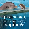 Книга издательства Бомбора. Расскажи мне что-нибудь хорошее. История о маленьких ежиках и необыкновенном спасении дельфина Каси (Массимо Ваккетта)