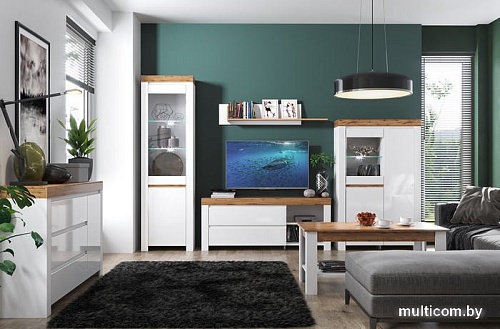 Тумба Anrex Taurus RTV 2S2N (белый глянец-дуб вотан)