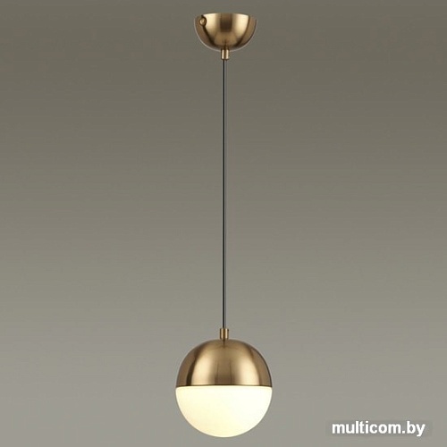 Подвесная люстра Odeon Light Pinga 4960/1