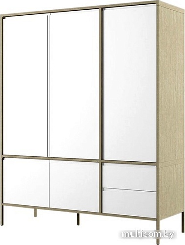 Шкаф распашной Молодечномебель Хитроу В2D5 ВМФ-1665 (серый агат/БА)