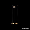 Подвесная люстра LOFT IT Ring 10013S