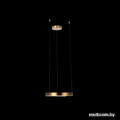 Подвесная люстра LOFT IT Ring 10013S