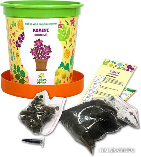 Набор для опытов Happy plant Колеус огненный hpn-1