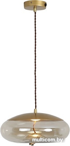 Подвесная люстра Lussole Loft Acquario LSP-8357