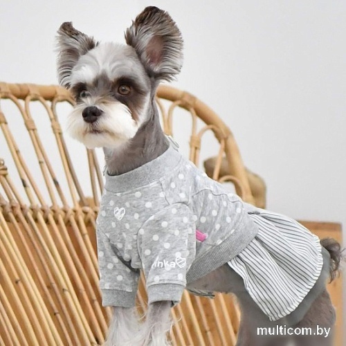 Свитер для животных Pinkaholic Ensley с юбкой NAUA-OP7617-MG-M (серый)