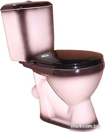 Унитаз Rosa Лира черный