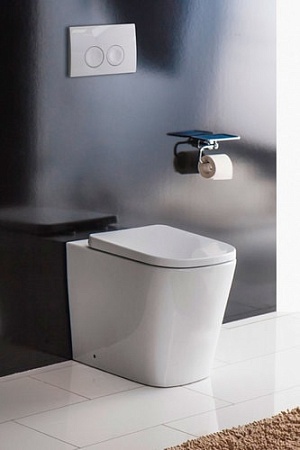 Унитаз BelBagno Albano BB120CBR