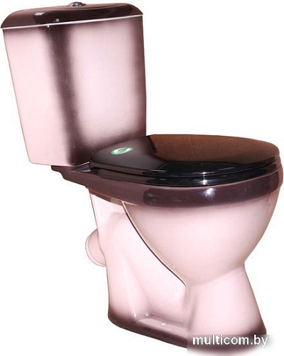 Унитаз Rosa Лира черный