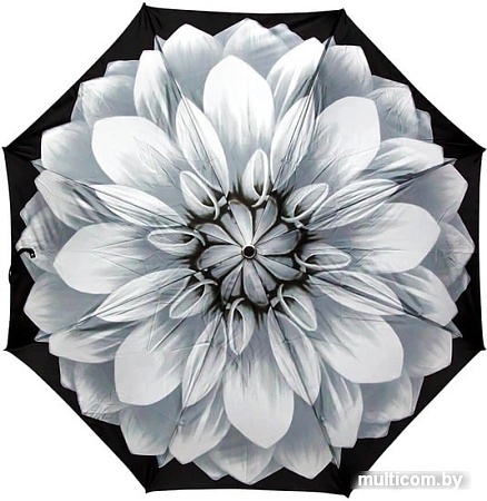 Зонт Pasotti Mini Georgin Grigio