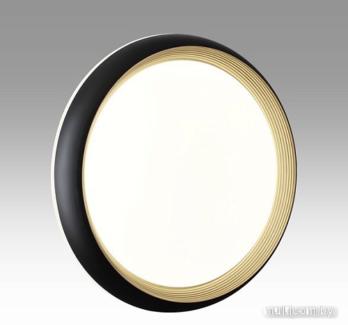 Припотолочная люстра Sonex Pale 7651/EL