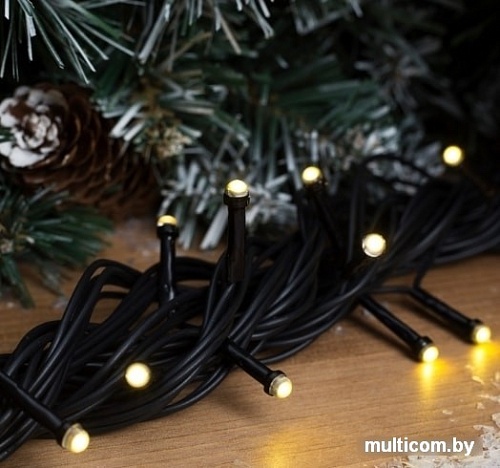 Гирлянда Luazon Нить уличная (теплый белый) 3584091