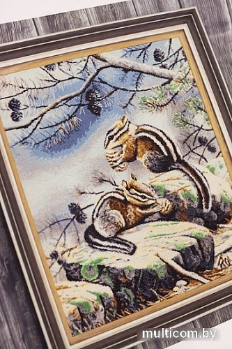 Набор для вышивания Золотое руно Бурундуки З-057