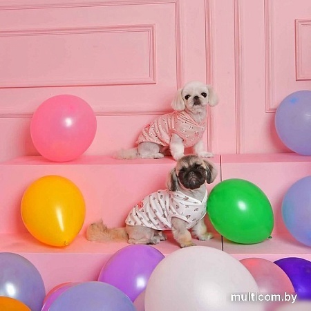 Футболка Pinkaholic Fiorella с капюшоном NATA-TS7567-IV-S (слоновая кость)