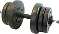 Гантели Lite Weights 3103CD 10 кг