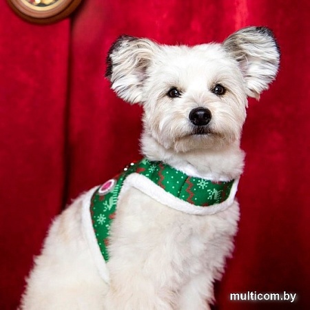 Шлейка-жилетка Pinkaholic Noelle NAUD-HJ7652-GR-S (зеленый)