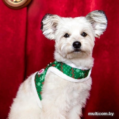 Шлейка-жилетка Pinkaholic Noelle NAUD-HJ7652-GR-S (зеленый)